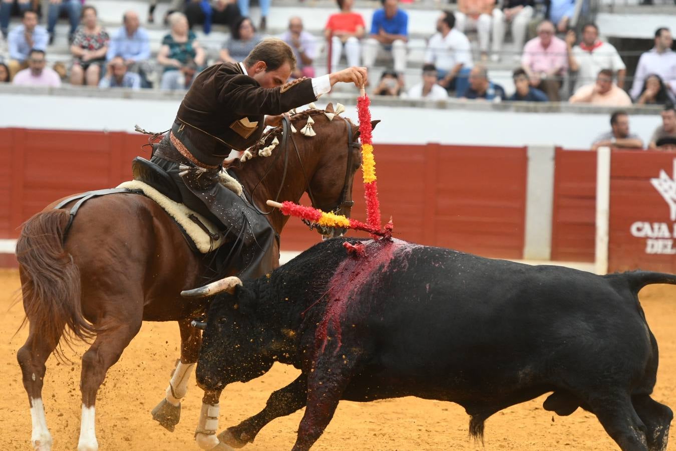 La corrida de rejones de Pozoblanco, en imágenes