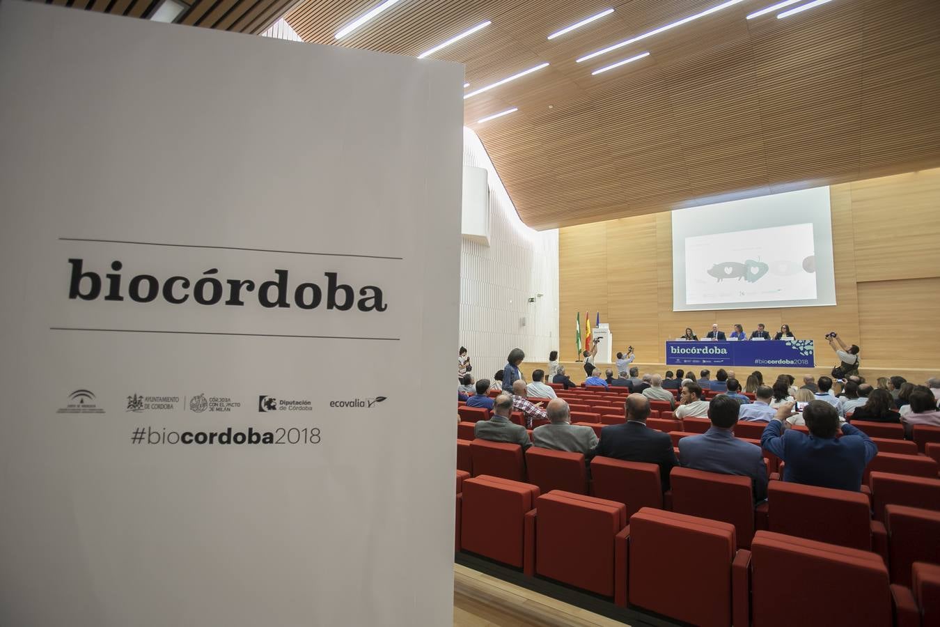 El primer día del remozado Palacio de Congresos de Córdoba, en imágenes