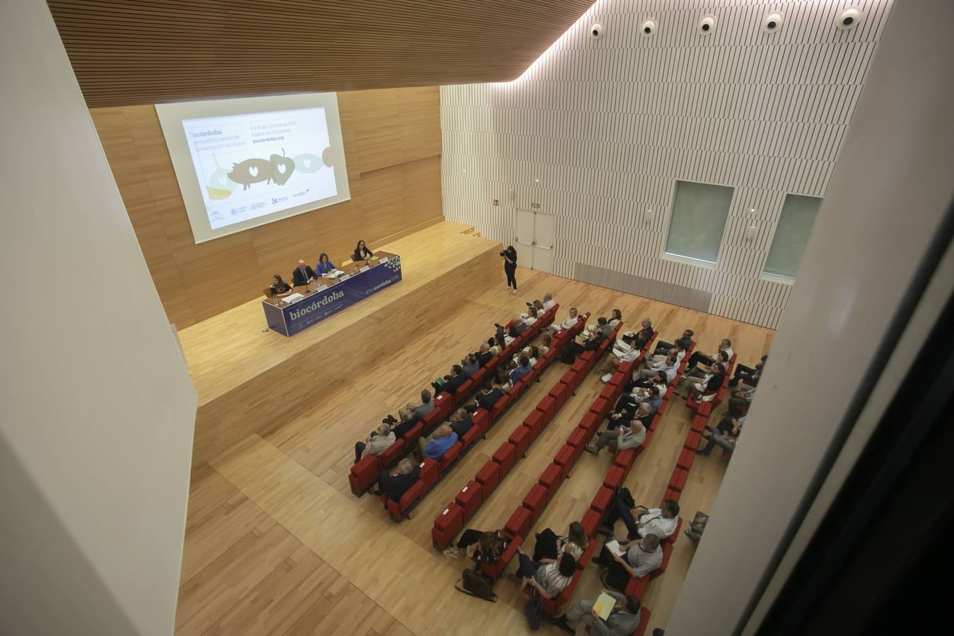 El primer día del remozado Palacio de Congresos de Córdoba, en imágenes