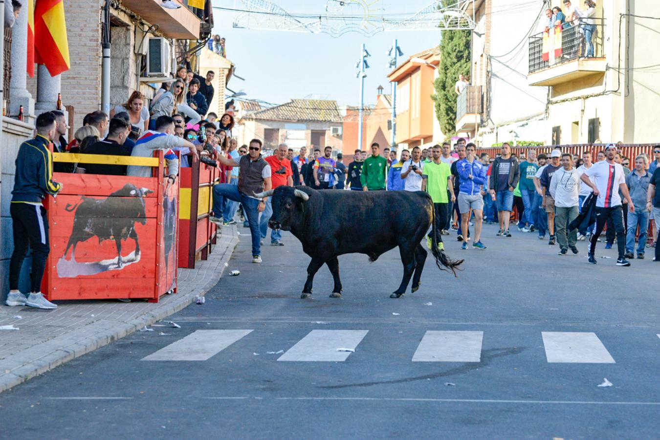 Los populares encierros de Olías del Rey, en imágenes