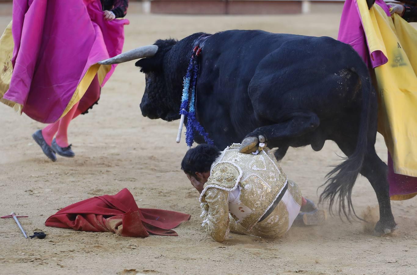 La corrida de Finito, Benítez y Filiberto Martínez en Montoro, en imágenes