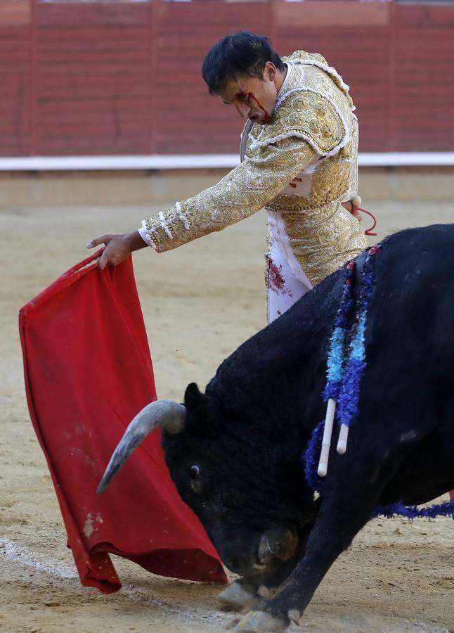 La corrida de Finito, Benítez y Filiberto Martínez en Montoro, en imágenes