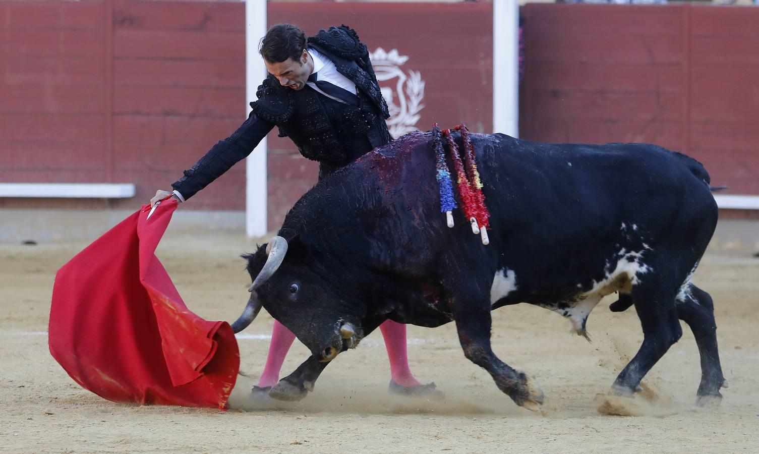 La corrida de Finito, Benítez y Filiberto Martínez en Montoro, en imágenes