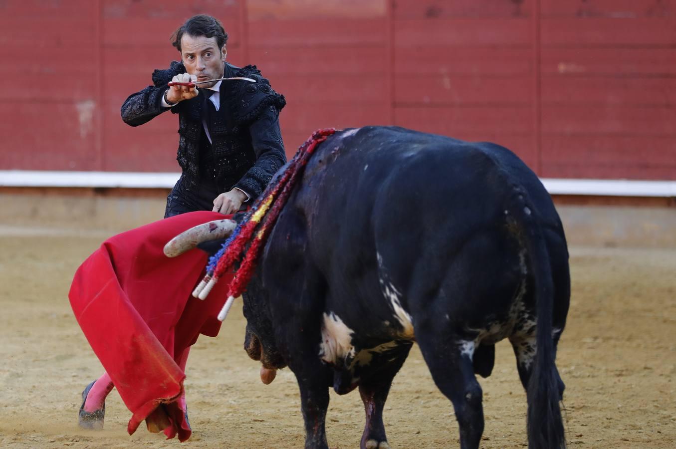 La corrida de Finito, Benítez y Filiberto Martínez en Montoro, en imágenes