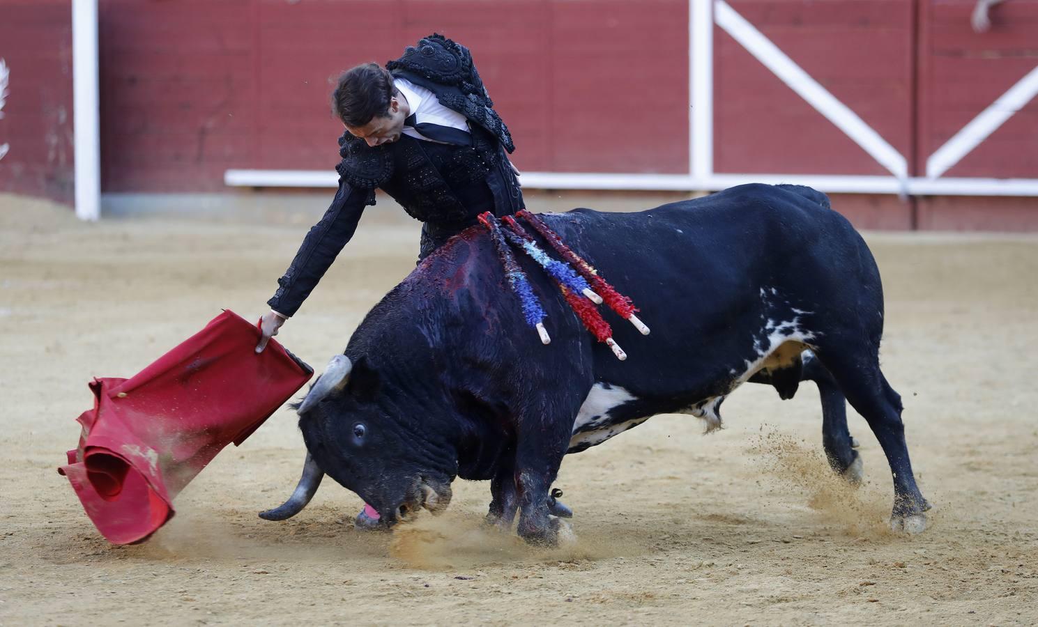 La corrida de Finito, Benítez y Filiberto Martínez en Montoro, en imágenes