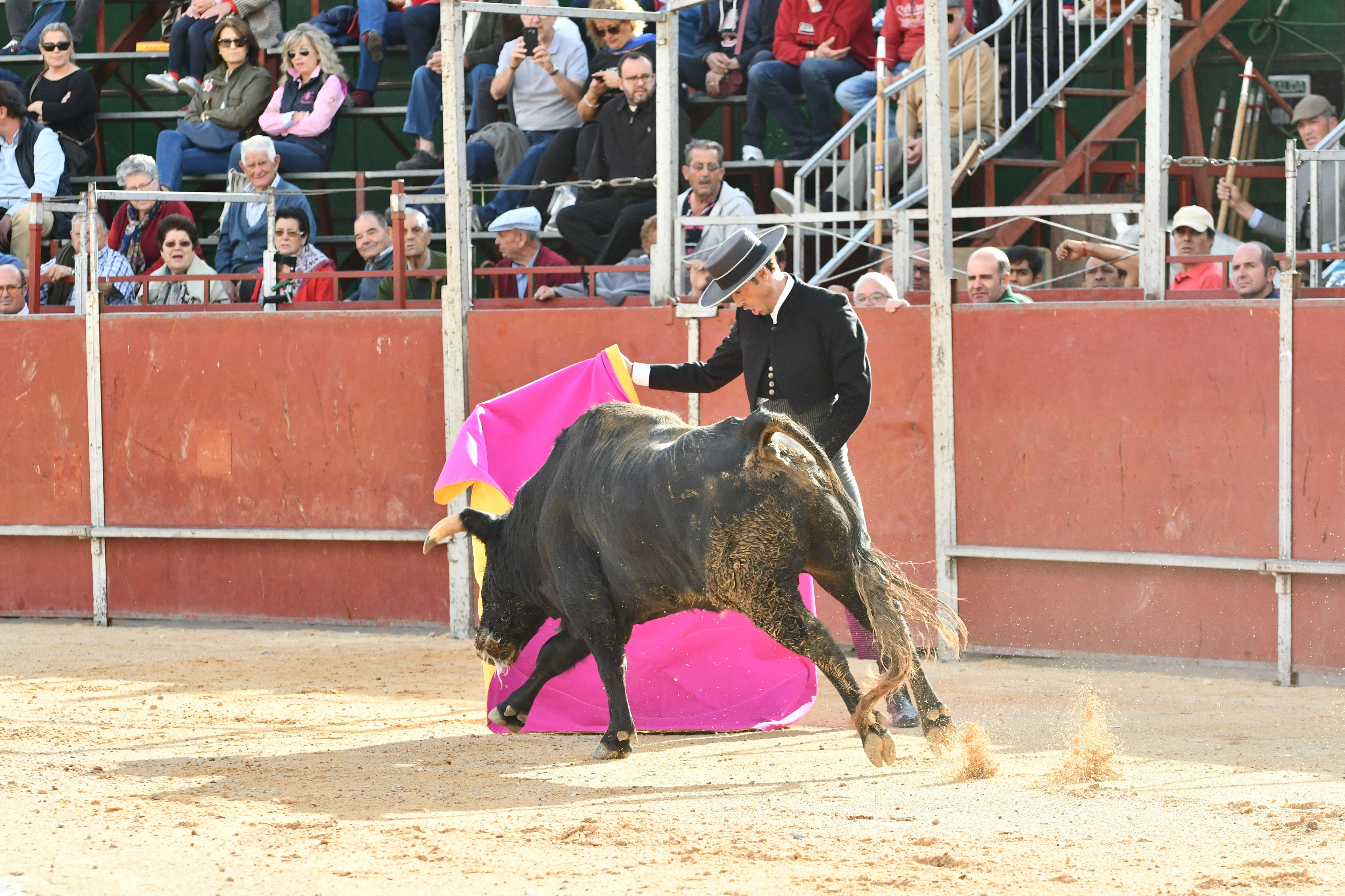 Olías del Rey despide sus festejos taurinos