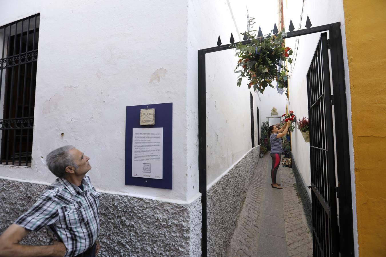 Los preparativos del II Festival de las Callejas de Córdoba, en imágenes