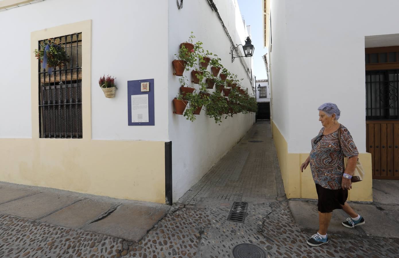 Los preparativos del II Festival de las Callejas de Córdoba, en imágenes