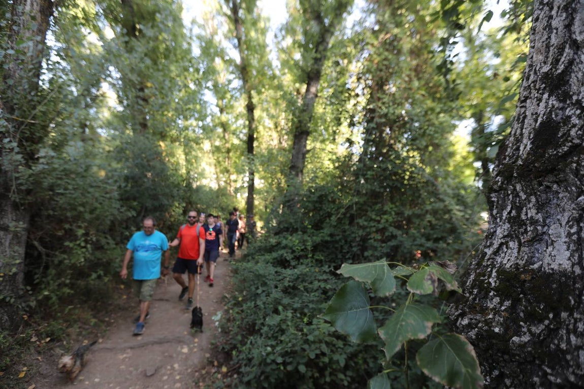 Ruta de Majaceite en Benamahoma