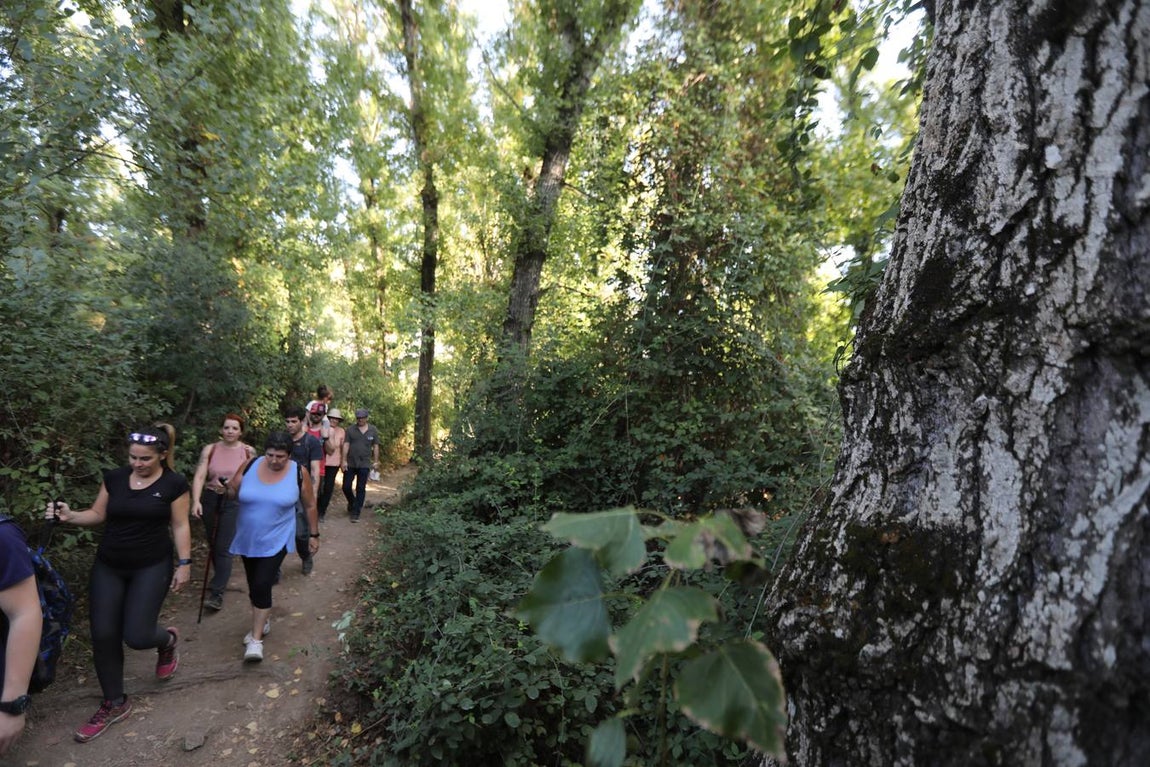Ruta de Majaceite en Benamahoma