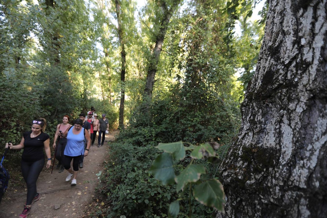 Ruta de Majaceite en Benamahoma