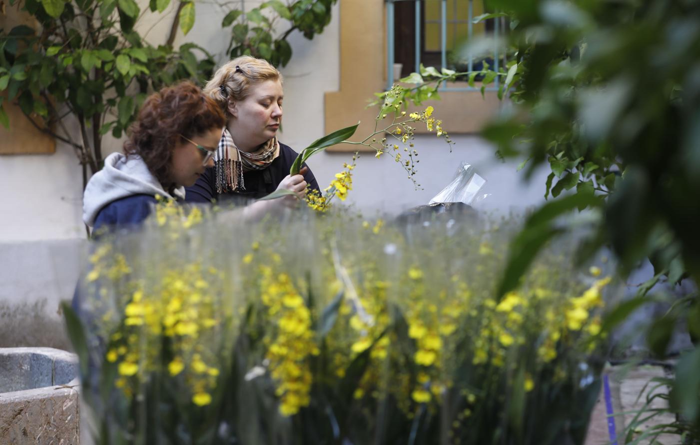 Los preparativos del Festival Flora de Córdoba, en imágenes