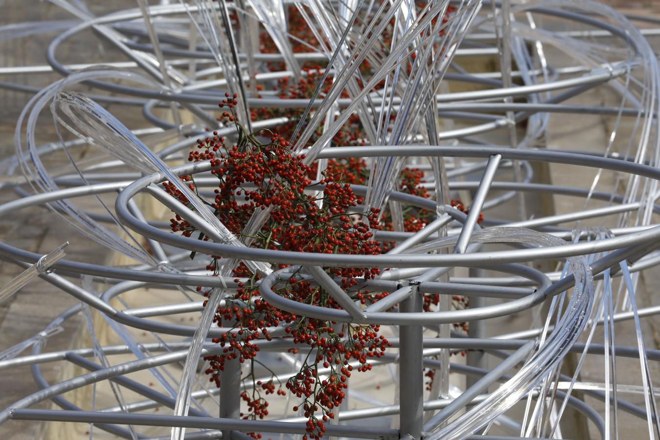 Los preparativos del Festival Flora de Córdoba, en imágenes