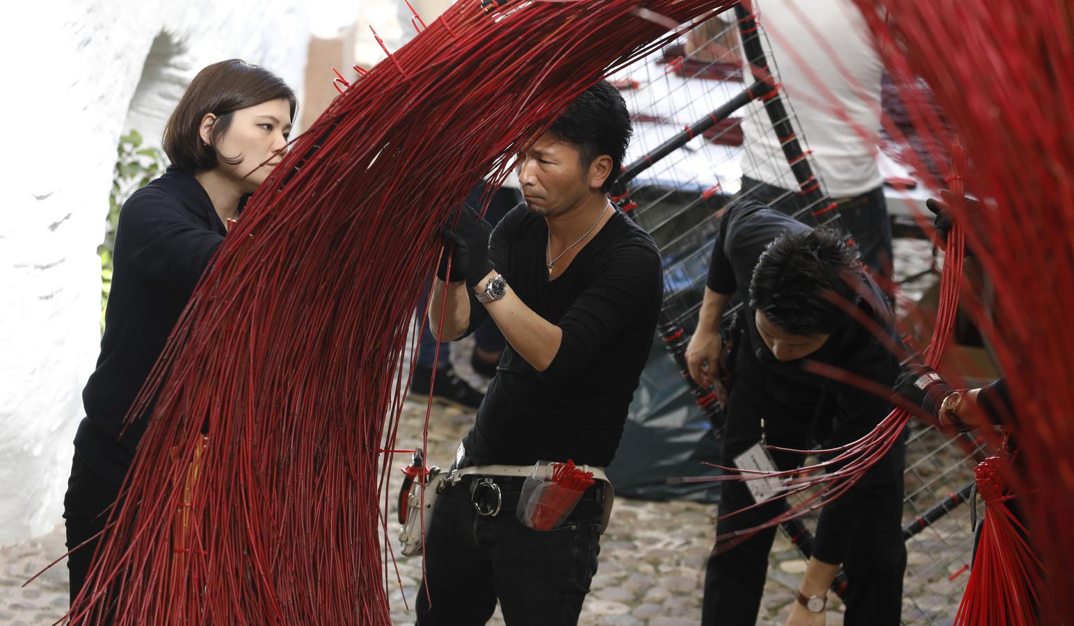 Los preparativos del Festival Flora de Córdoba, en imágenes