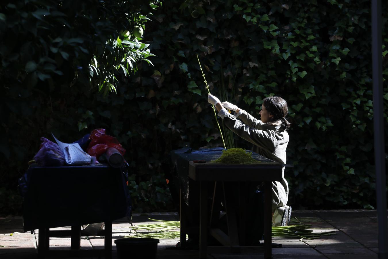 Los preparativos del Festival Flora de Córdoba, en imágenes