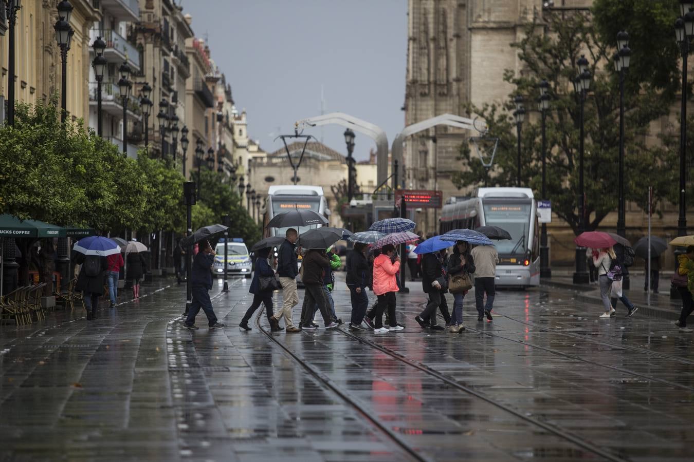 Primer temporal de lluvias en otoño en Sevilla