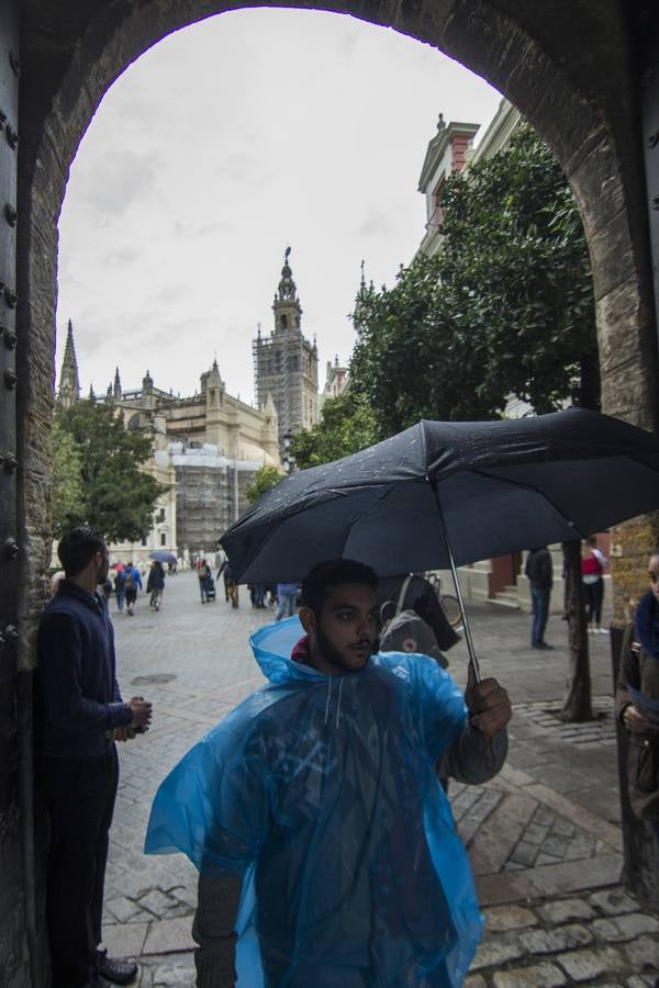 Primer temporal de lluvias en otoño en Sevilla