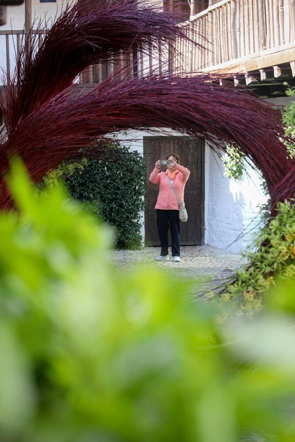 En imágenes, el arranque del Festival Flora 2018 en Córdoba