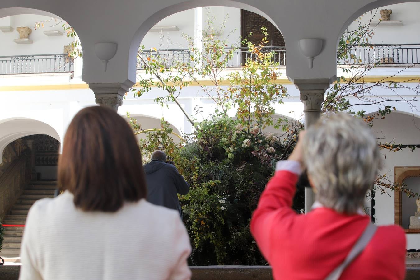 En imágenes, el arranque del Festival Flora 2018 en Córdoba