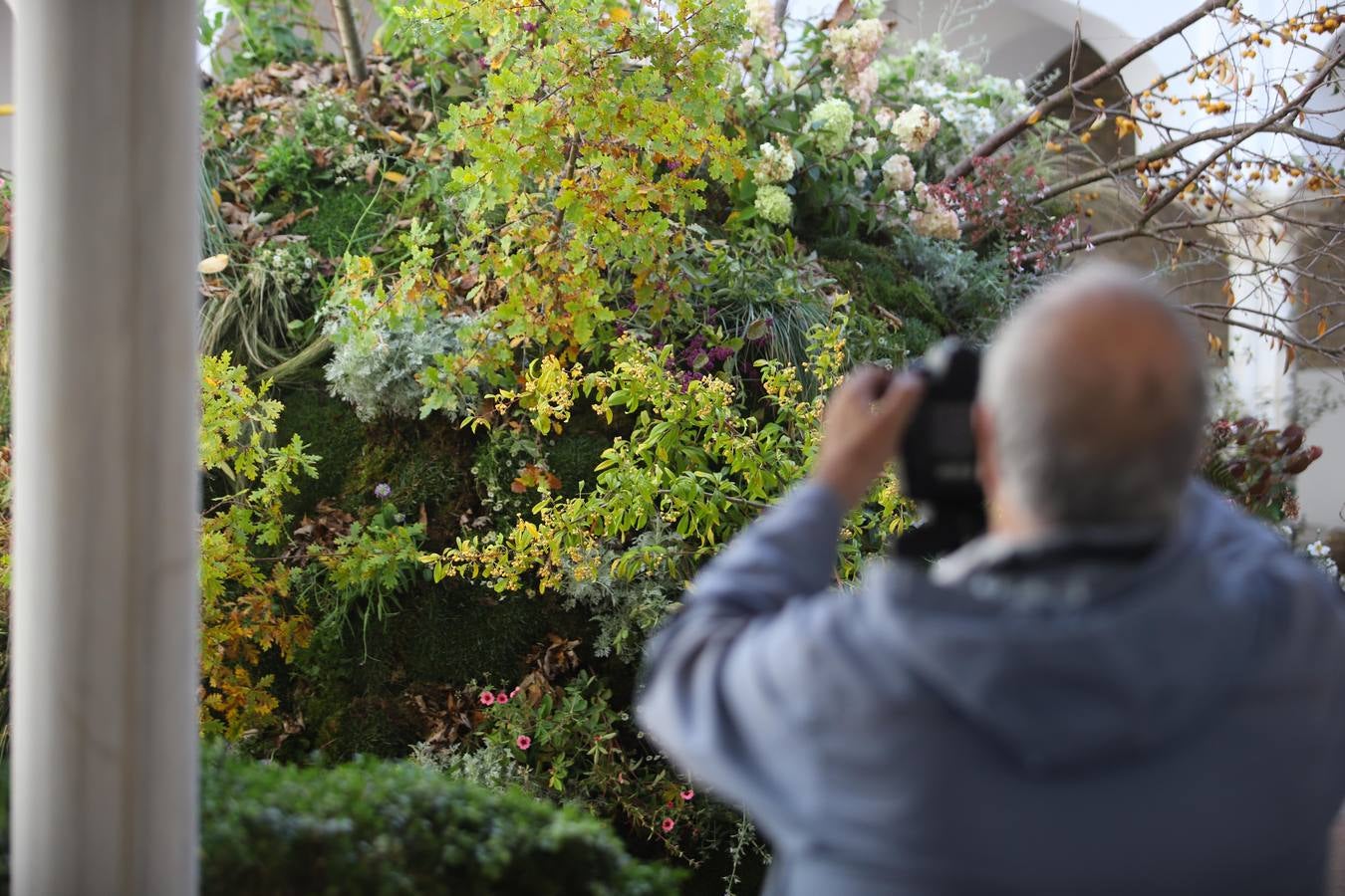 En imágenes, el arranque del Festival Flora 2018 en Córdoba