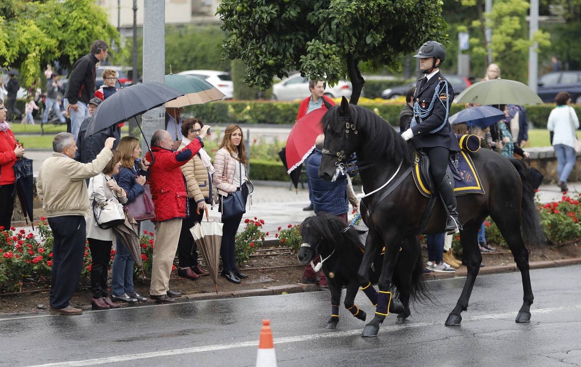 El desfile en honor a Diego López de Haro y las Caballerizas Reales de Córdoba, en imágenes