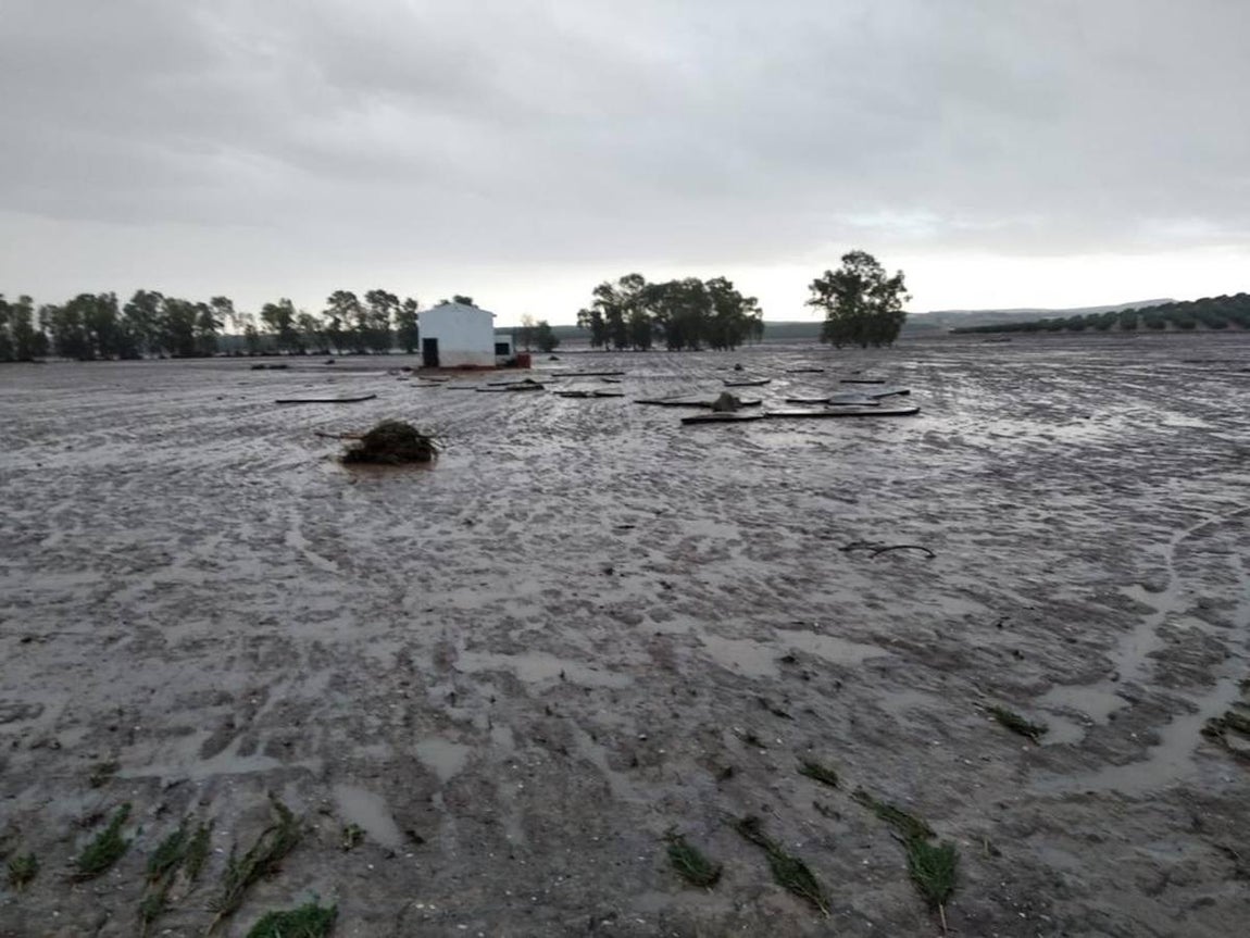 Terrenos anegados en la localidad de El Rubio