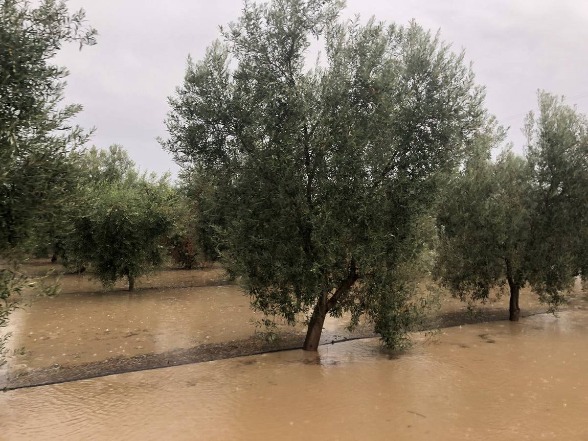 La localidad sevillana de El Rubio se ha visto incomunicada por completo durante varias horas