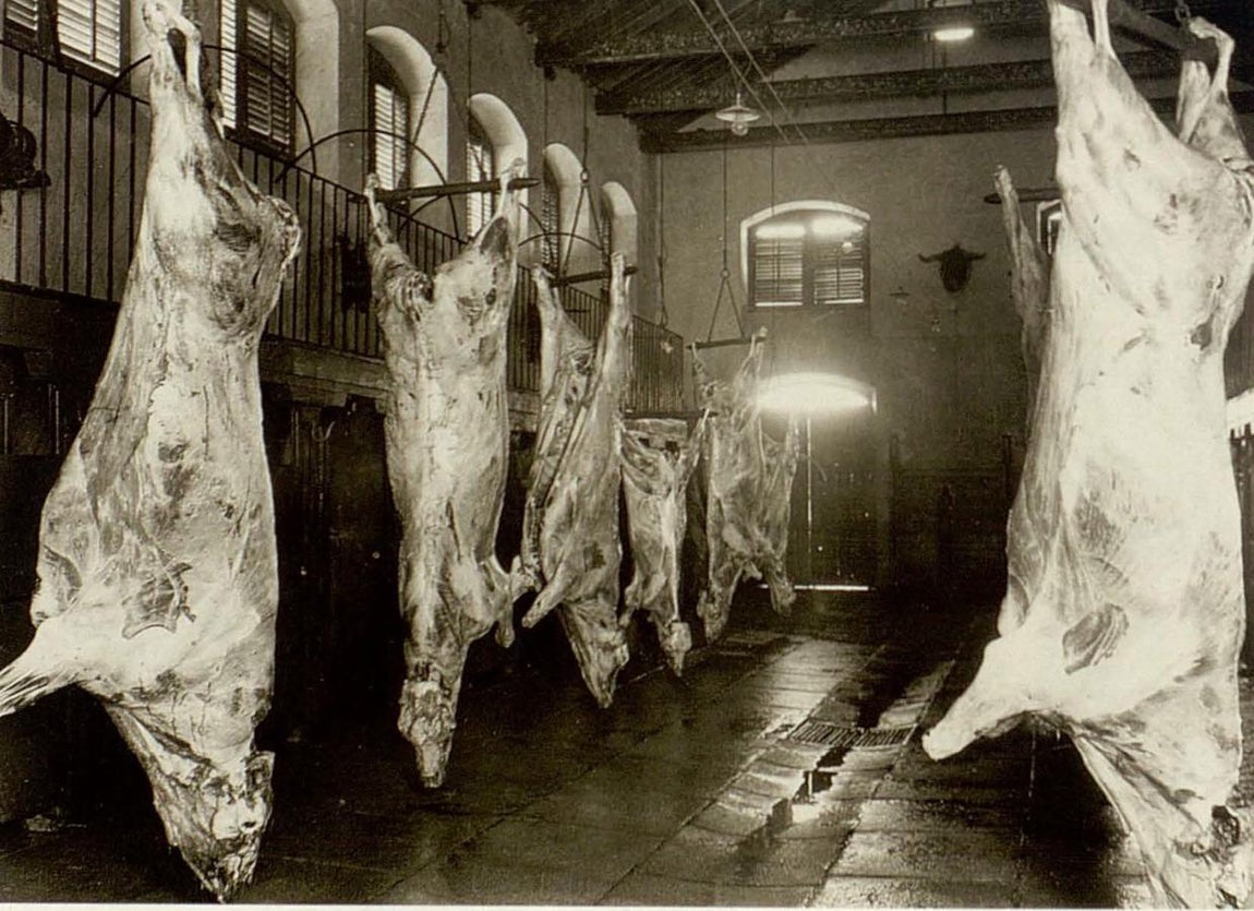 Sacrificio de reses vacunas. Fotografía Rodríguez. 