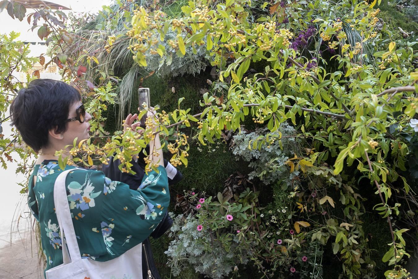 El día de San Rafael en el Festival Flora de Córdoba, en imágenes