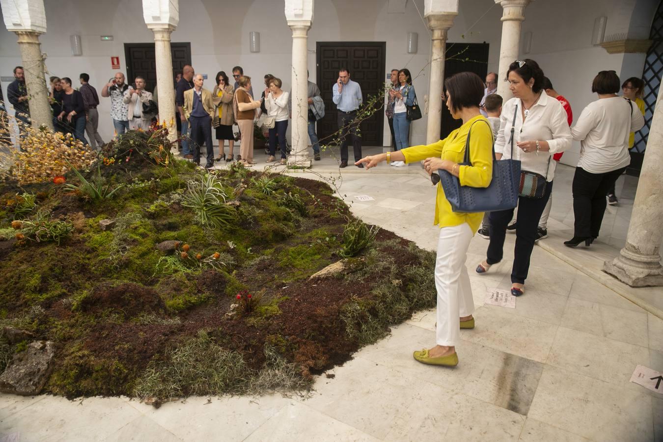 El día de San Rafael en el Festival Flora de Córdoba, en imágenes