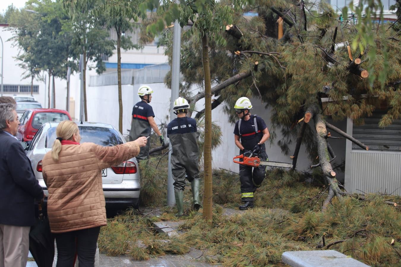 Los efectos de la tromba de agua de este sábado en Córdoba, en imágenes