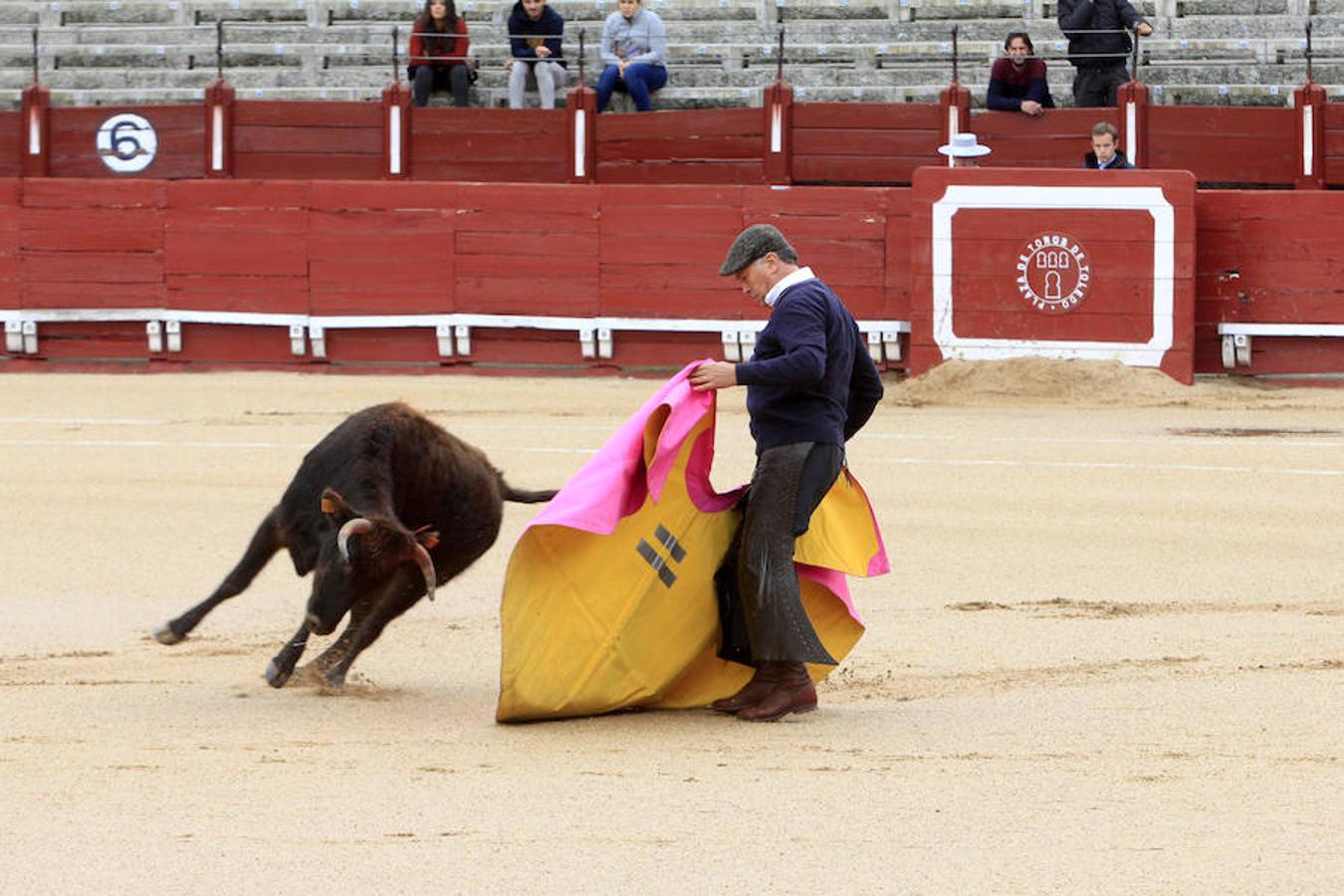 El Tentadero Benéfico en Toledo, en imágenes