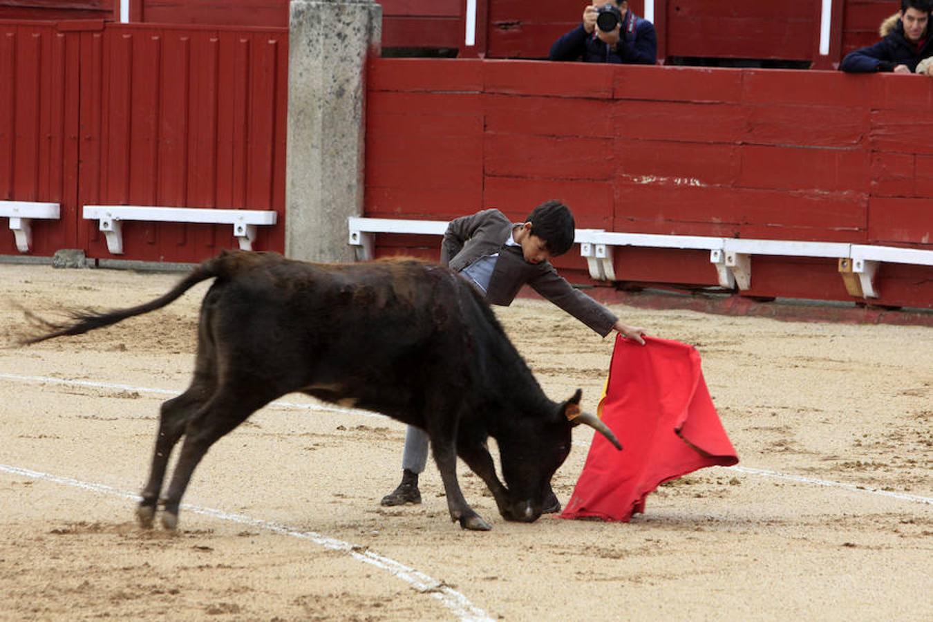 El Tentadero Benéfico en Toledo, en imágenes