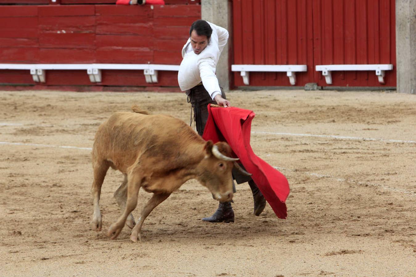 El Tentadero Benéfico en Toledo, en imágenes