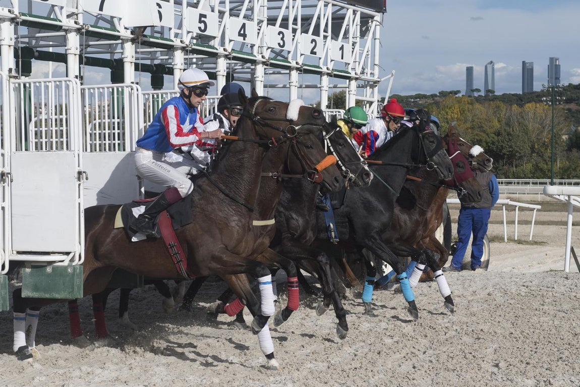 13. Salida de los jockey