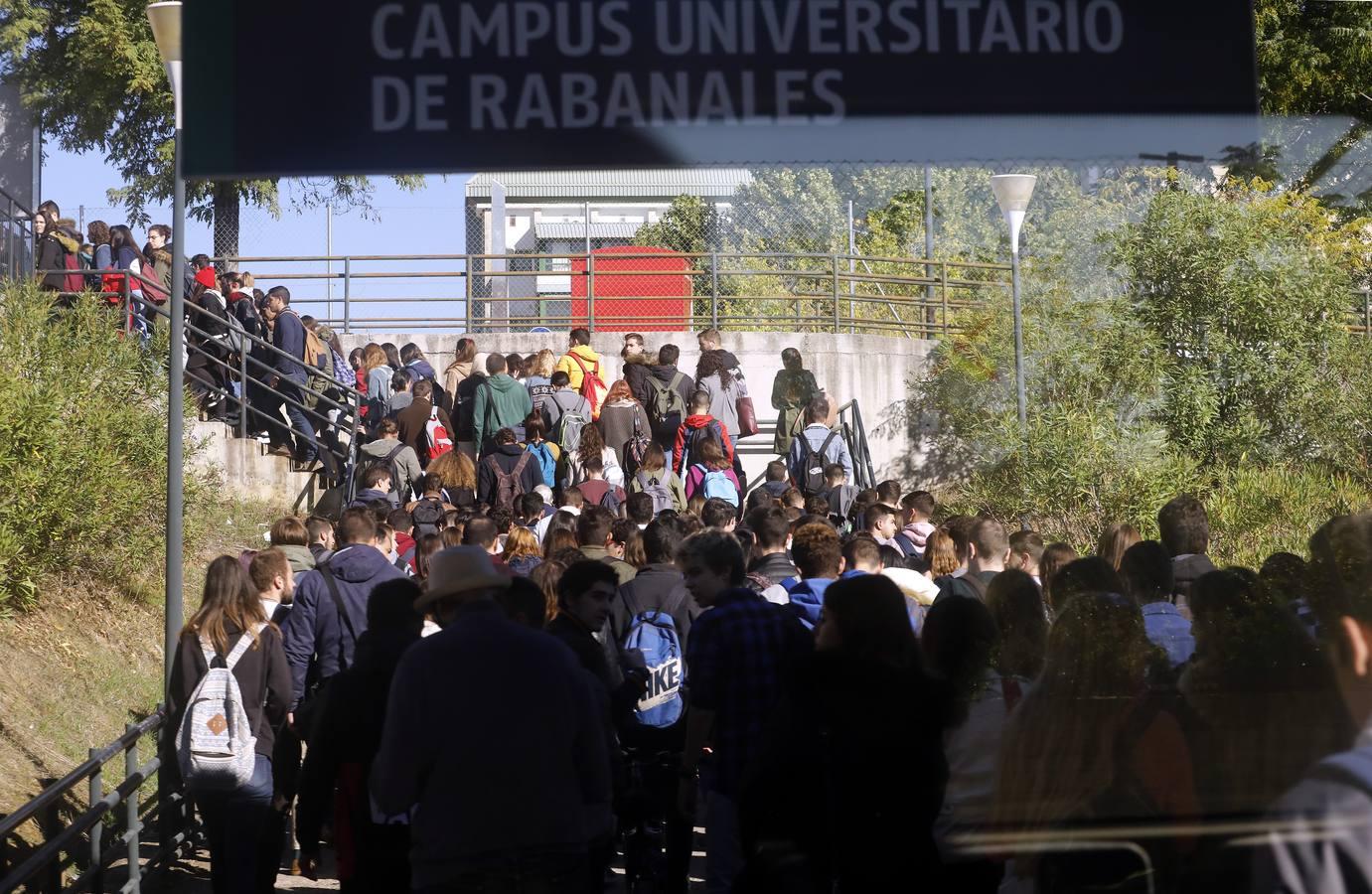 El primer día del Cercanías de Córdoba, en imágenes