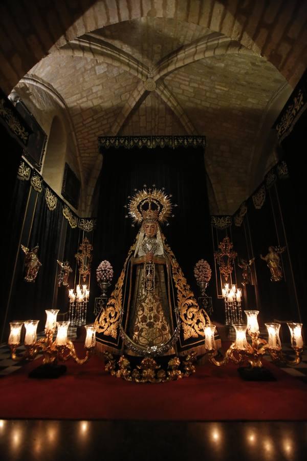 Los cultos de la Hermandad de Ánimas de Córdoba, en imágenes