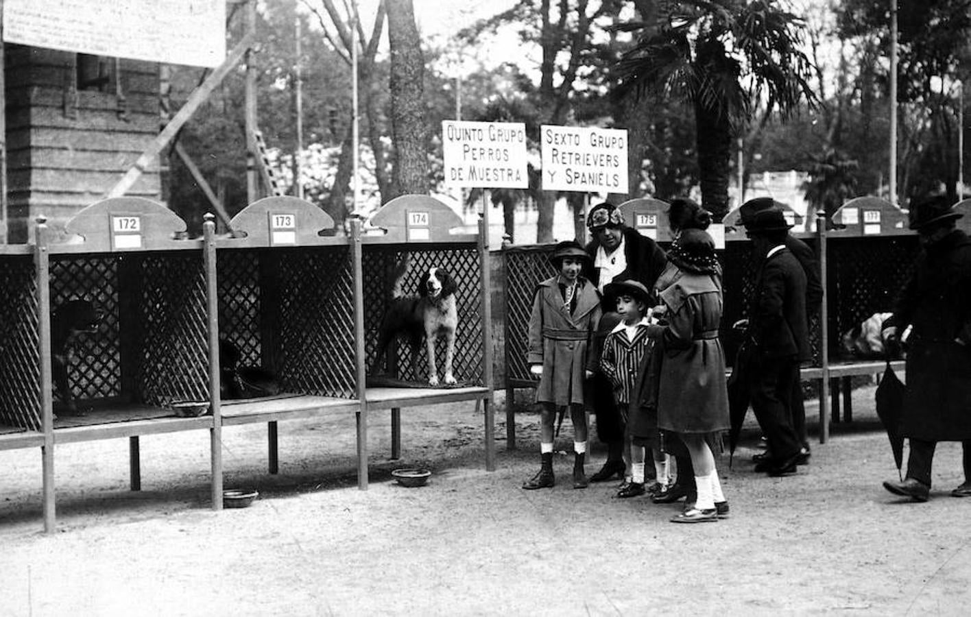 11.. Un cocurso canino celebrado en El Retiro en 1921