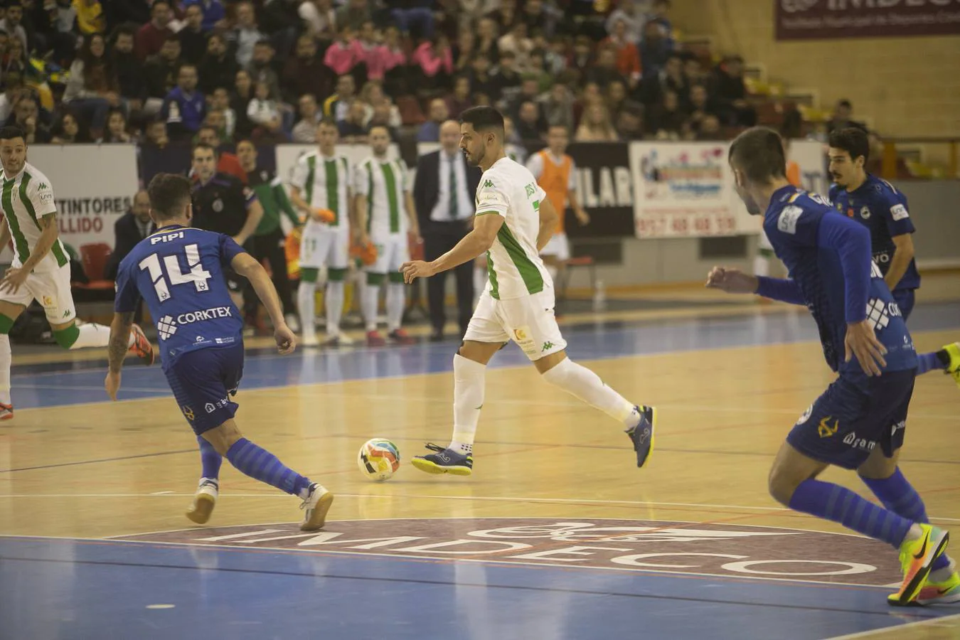 Las mejores imágenes del Córdoba Futsal-Bisontes