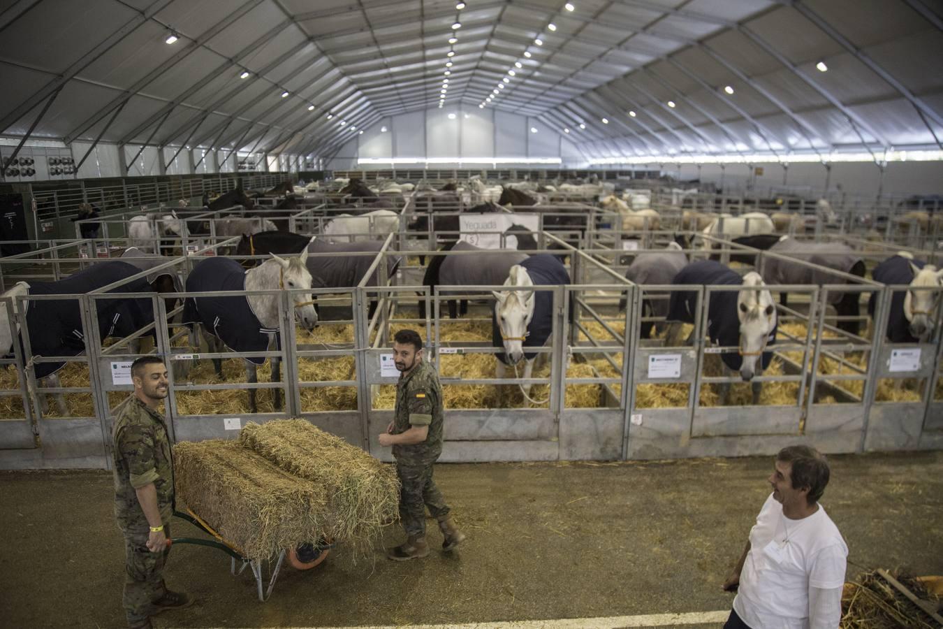 Arranca el Salón Internacional del Caballo