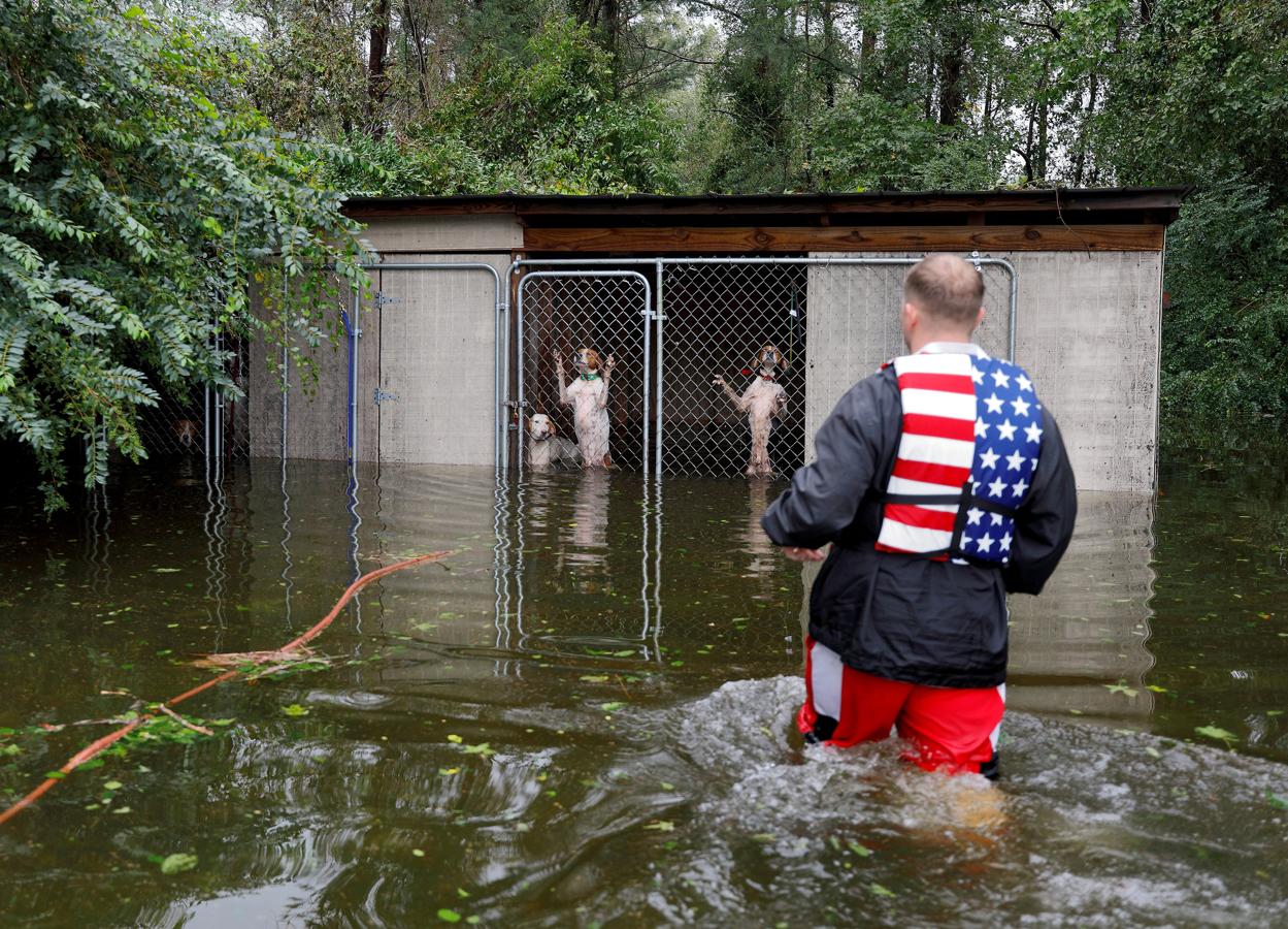 Un grupo de perros, que fueron dejados enjaulados por un propietario que huyó de la crecida de las aguas por las inundaciones tras el huracán Florence, son rescatados por el voluntario Ryan Nichols de Longview en Leland, Carolina del Norte, EE.UU., el 16 de septiembre de 2018.. 