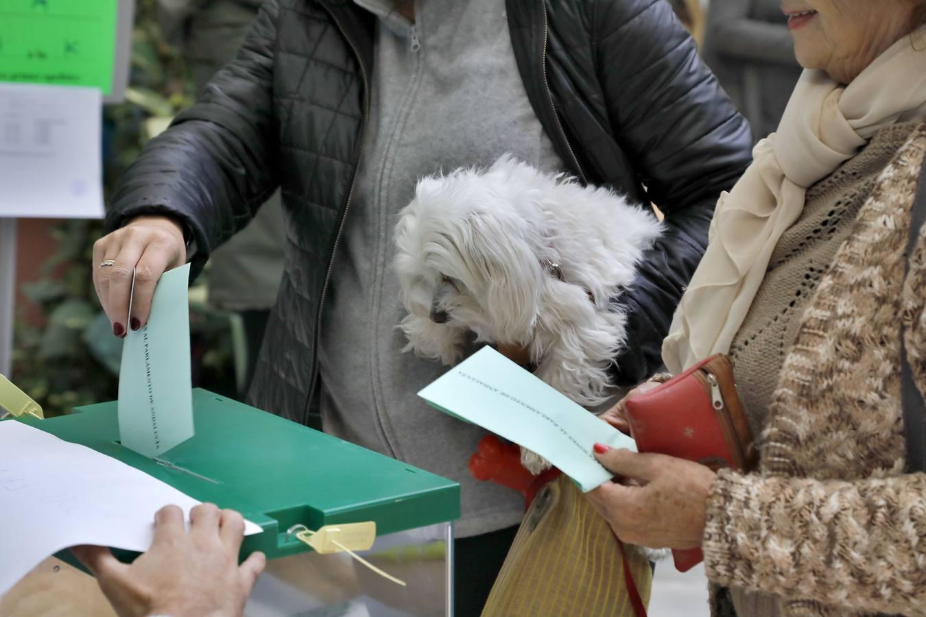 En imágenes, el ambiente de los colegios electorales en las elecciones andaluzas 2018