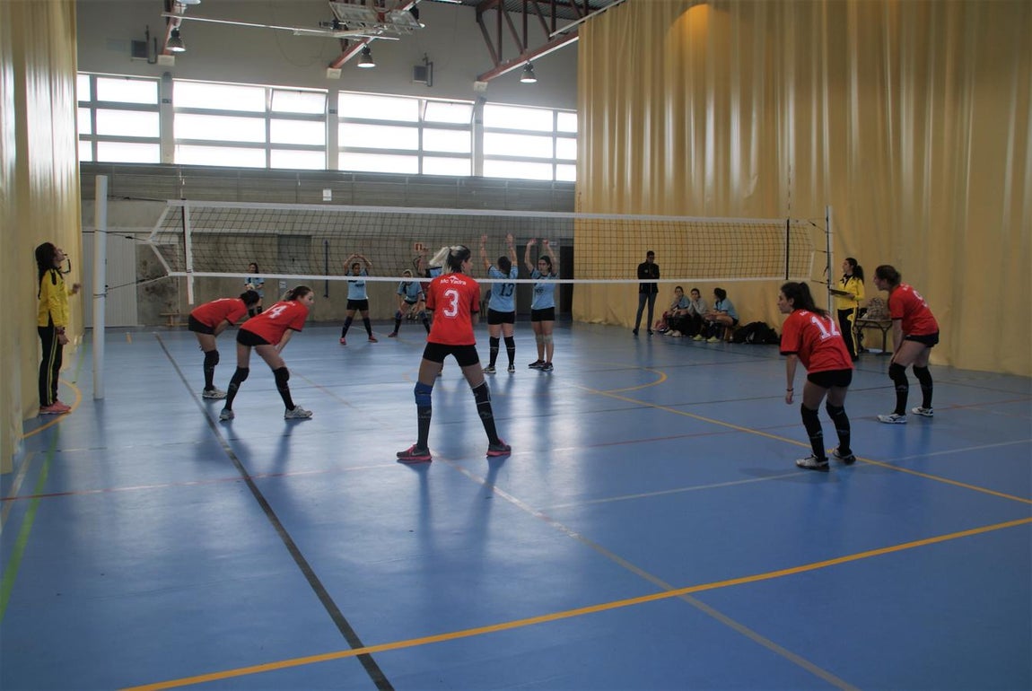 Las mejores imágenes del partido entre Obispo Perelló y Spínola Chamartín