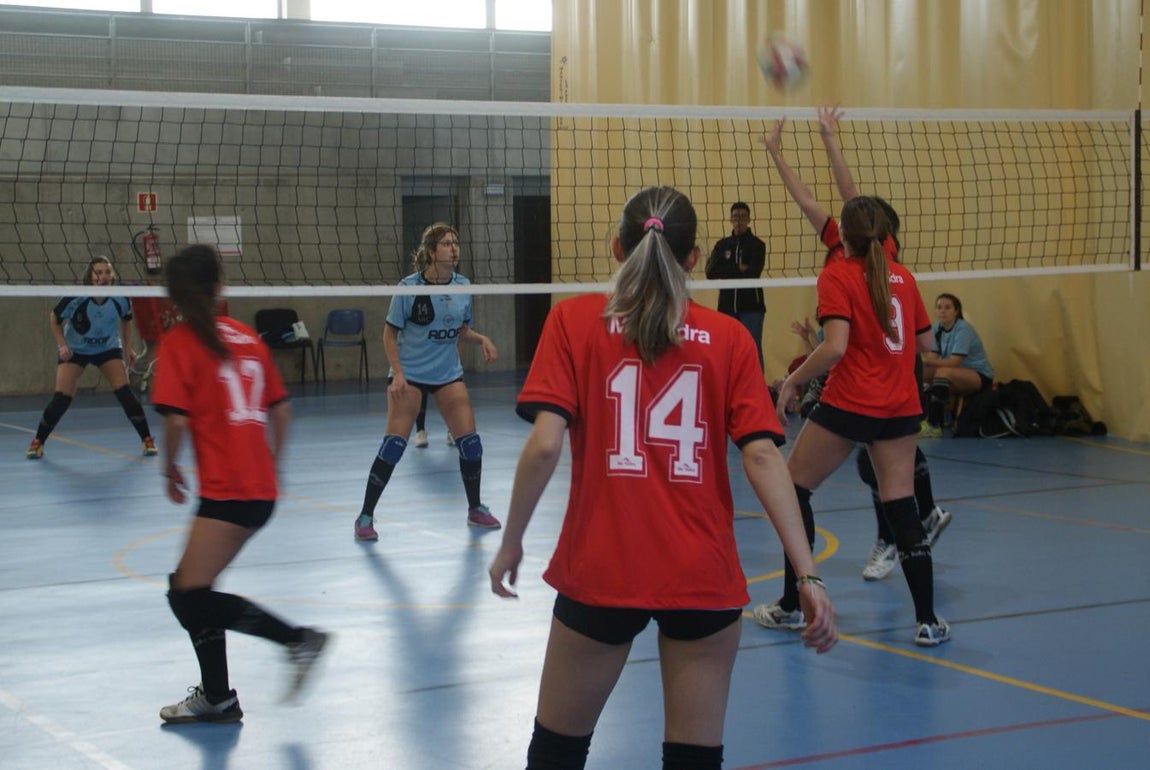 Las mejores imágenes del partido entre Obispo Perelló y Spínola Chamartín