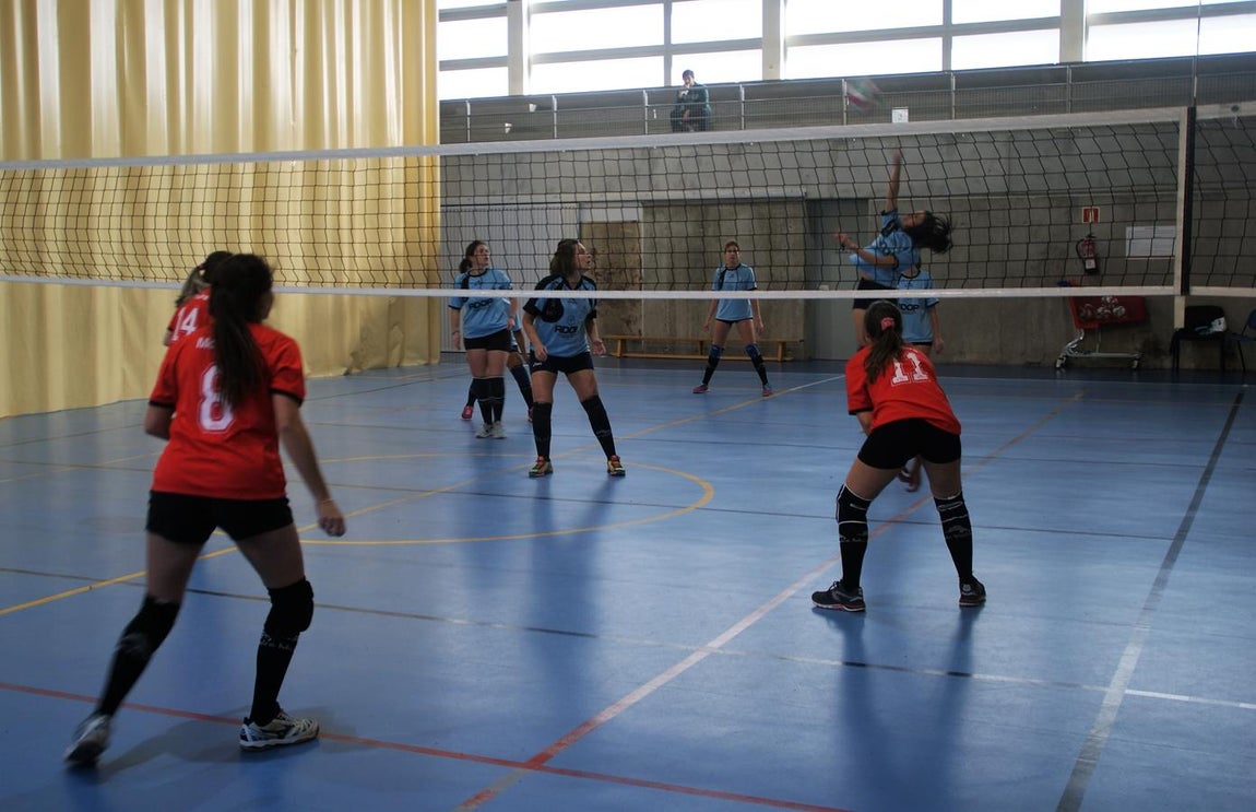 Las mejores imágenes del partido entre Obispo Perelló y Spínola Chamartín