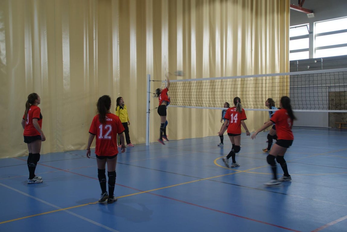 Las mejores imágenes del partido entre Obispo Perelló y Spínola Chamartín