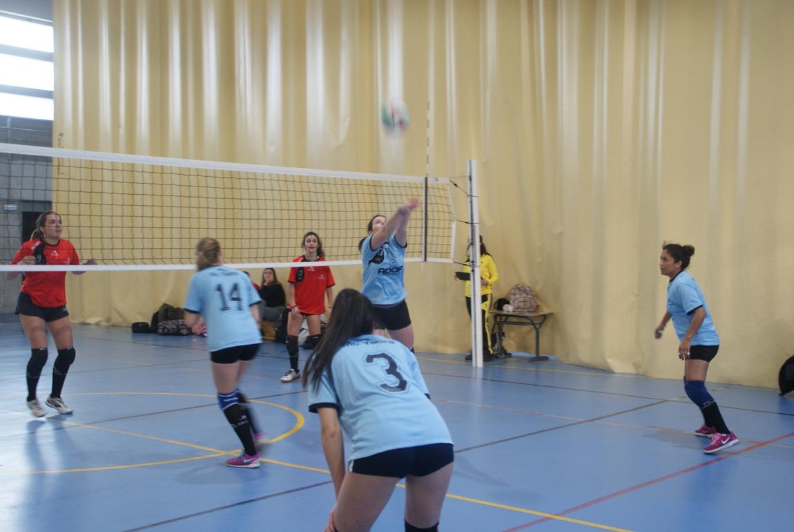 Las mejores imágenes del partido entre Obispo Perelló y Spínola Chamartín