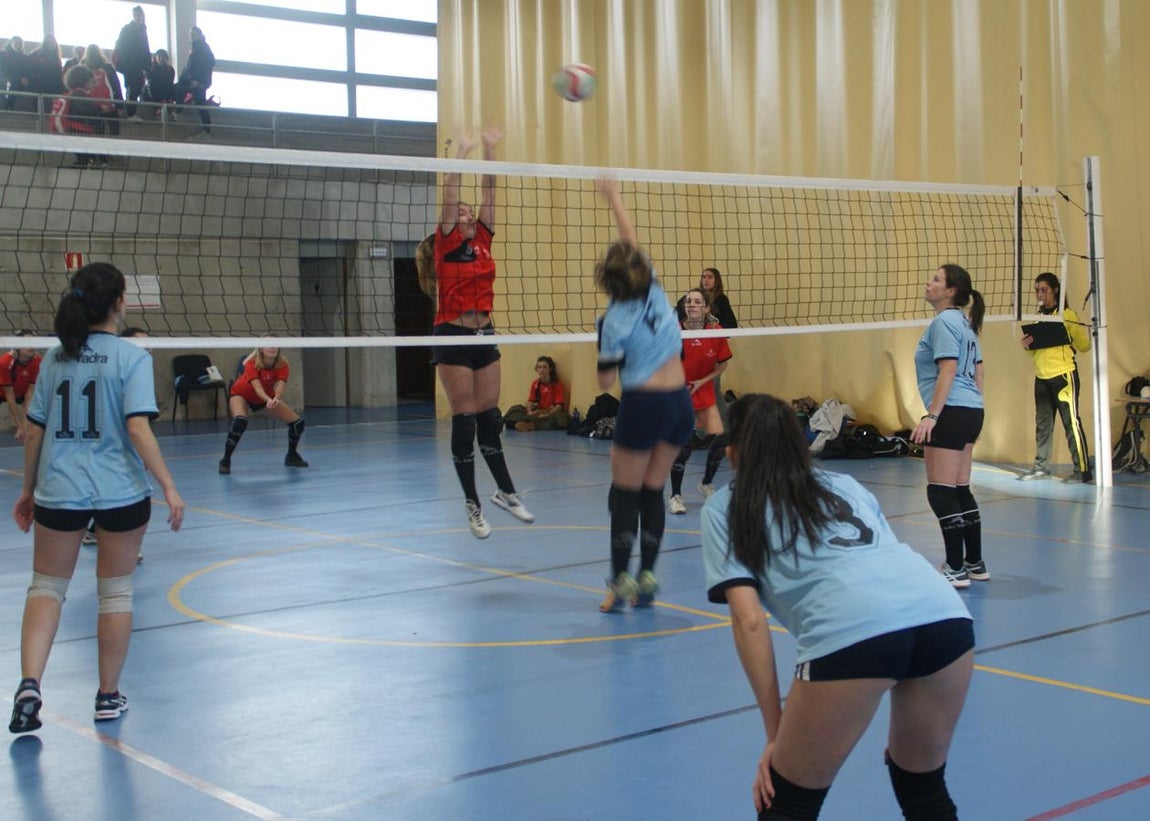 Las mejores imágenes del partido entre Obispo Perelló y Spínola Chamartín