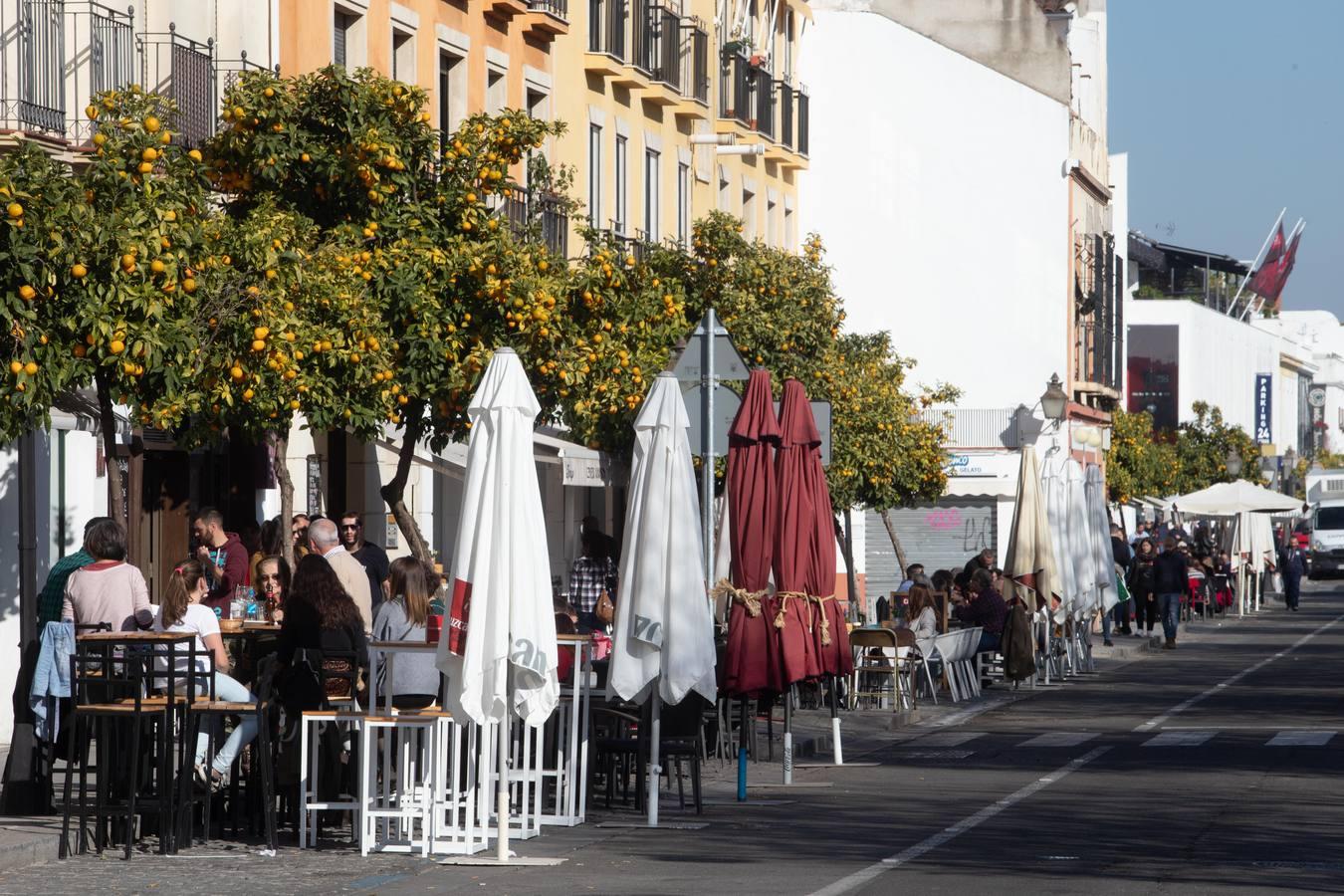 El ambiente del puente de la Inmaculada en Córdoba, en imágenes