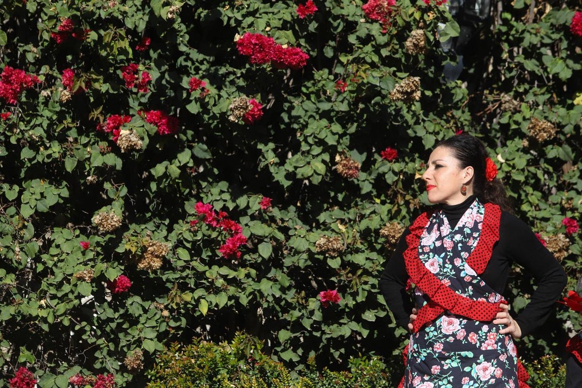 La zambomba flamenca empieza a sonar en Córdoba, en imágenes